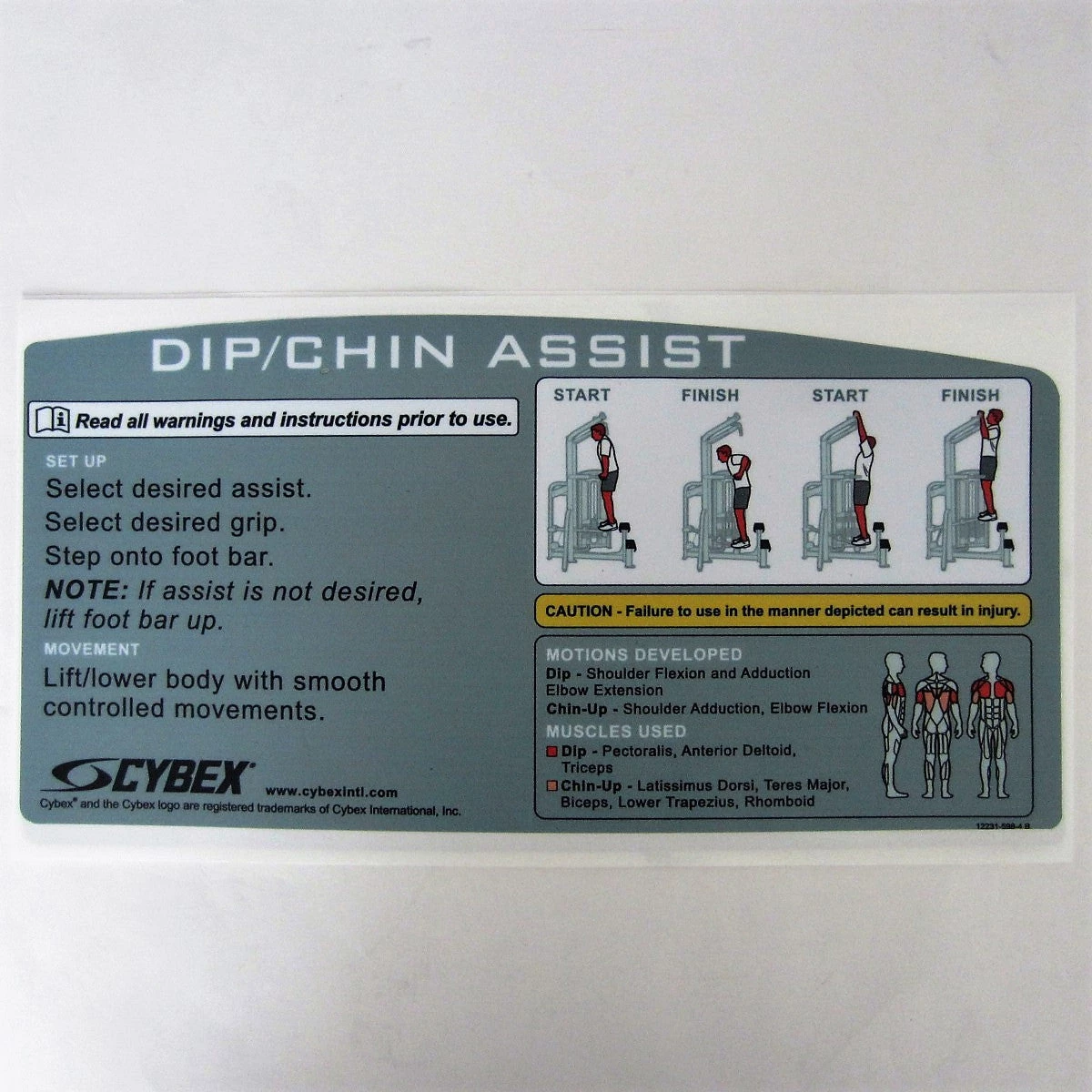 Sign Concepts Cybex VR3 Dip/Chin Assist 1 Sign Concepts Cybex VR3 Dip/Chin Assist