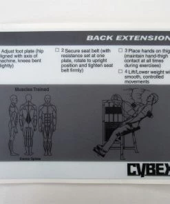 Sign Concepts Cybex Classic Back Extension