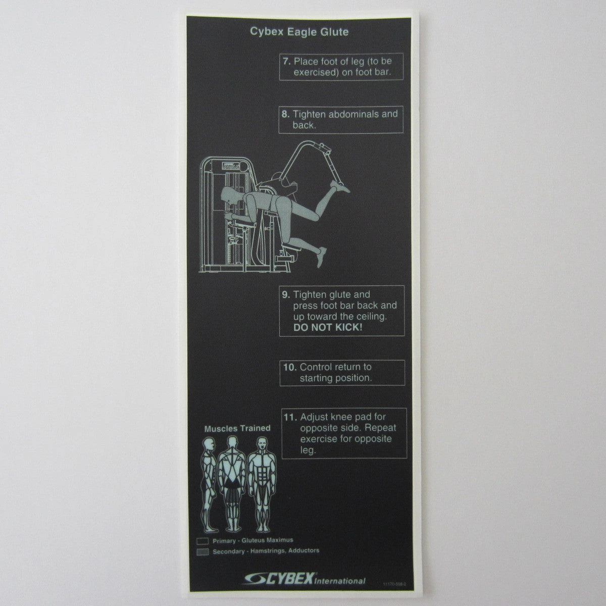 Sign Concepts Cybex Eagle Glute 1 Sign Concepts Cybex Eagle Glute