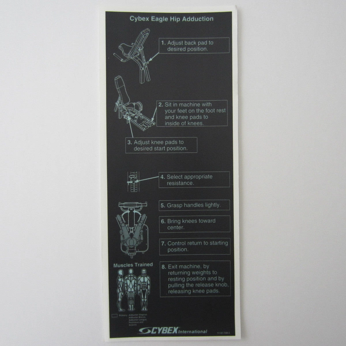 Sign Concepts Cybex Eagle Hip Adduction 1 Sign Concepts Cybex Eagle Hip Adduction