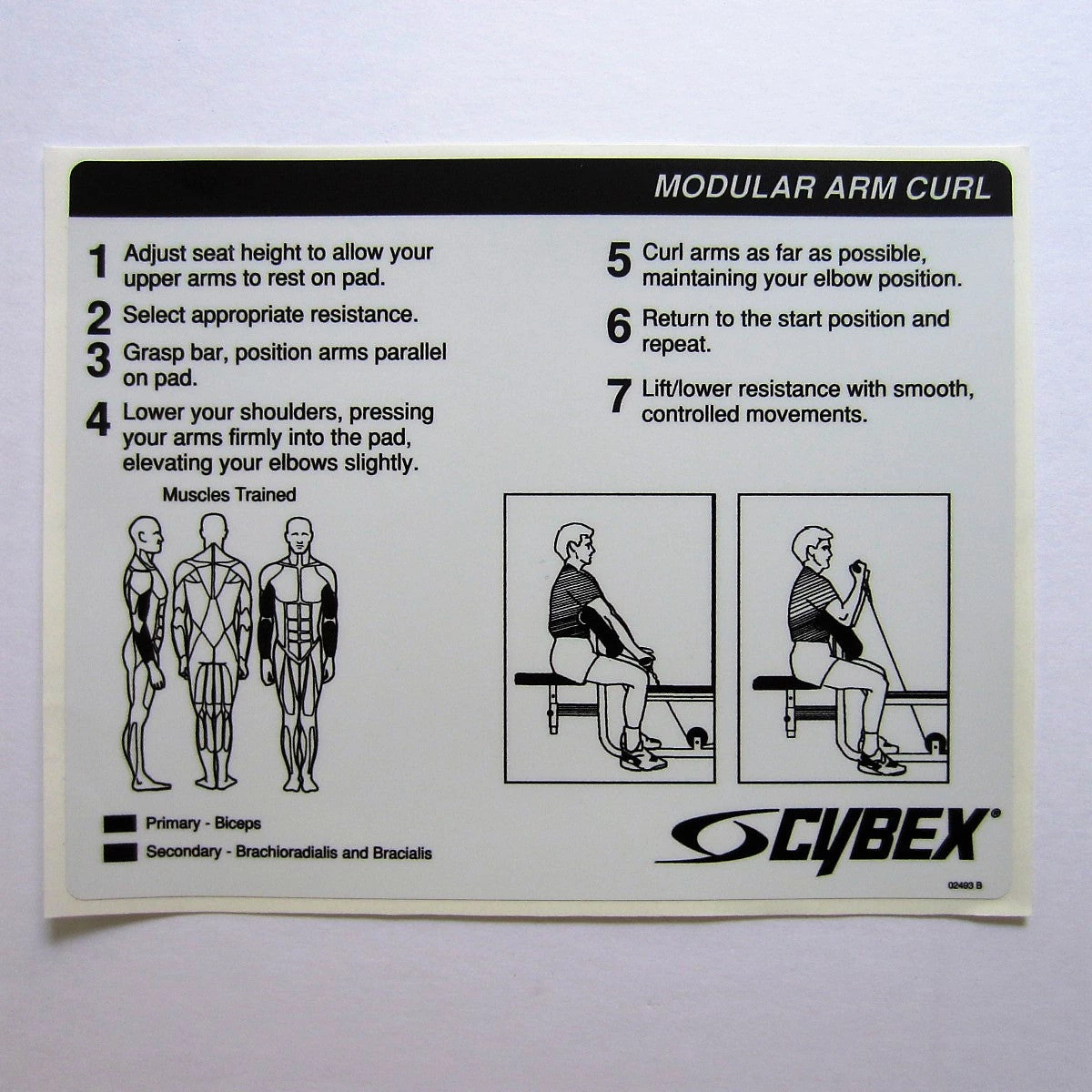 Sign Concepts Modular / Smith Press Cybex Modular Arm Curl 1 Sign Concepts Modular / Smith Press Cybex Modular Arm Curl