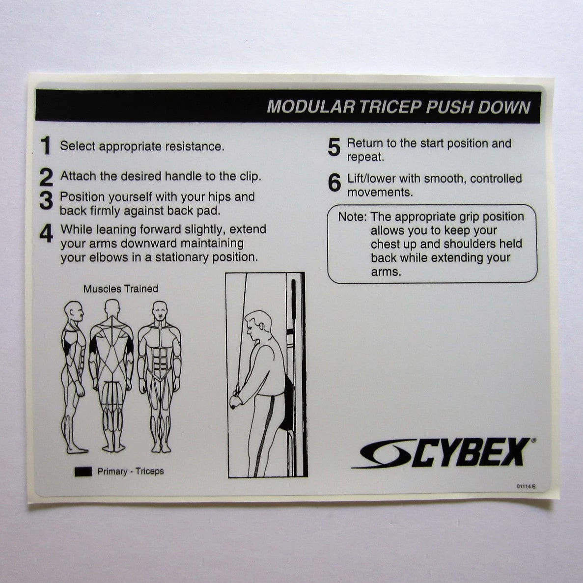 Sign Concepts Cybex Modular Tricep Push Down 1 Sign Concepts Cybex Modular Tricep Push Down