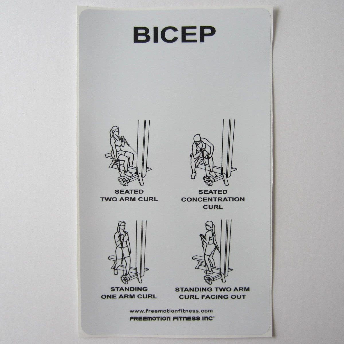 Sign Concepts Freemotion Bicep Curl 15" X 9" 1 Sign Concepts Freemotion Bicep Curl 15" X 9"