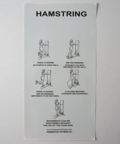 Sign Concepts Freemotion Hamstring 21" X 11"