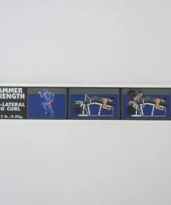 Sign Concepts Iso Lateral Leg Curl Plate-Loaded /Ground Base