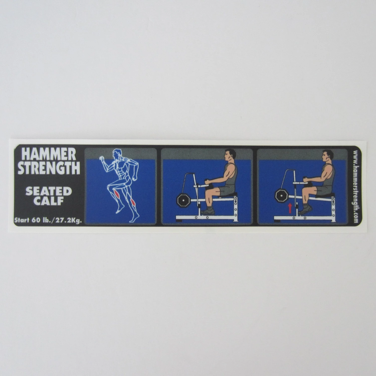 Sign Concepts Seated Calf Plate-Loaded /Ground Base 1 Sign Concepts Seated Calf Plate-Loaded /Ground Base