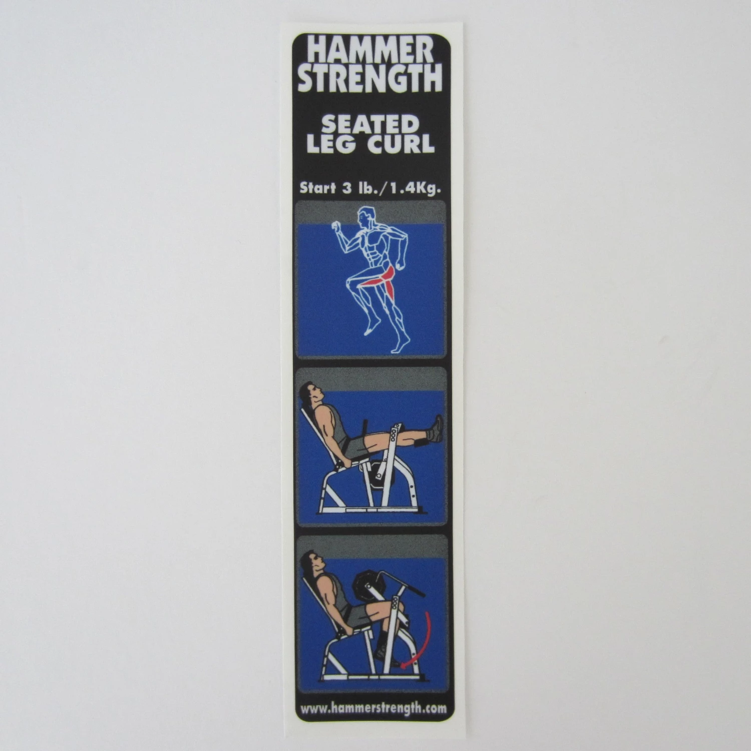 Sign Concepts Plate-Loaded /Ground Base Seated Leg Curl 1 Sign Concepts Plate-Loaded /Ground Base Seated Leg Curl