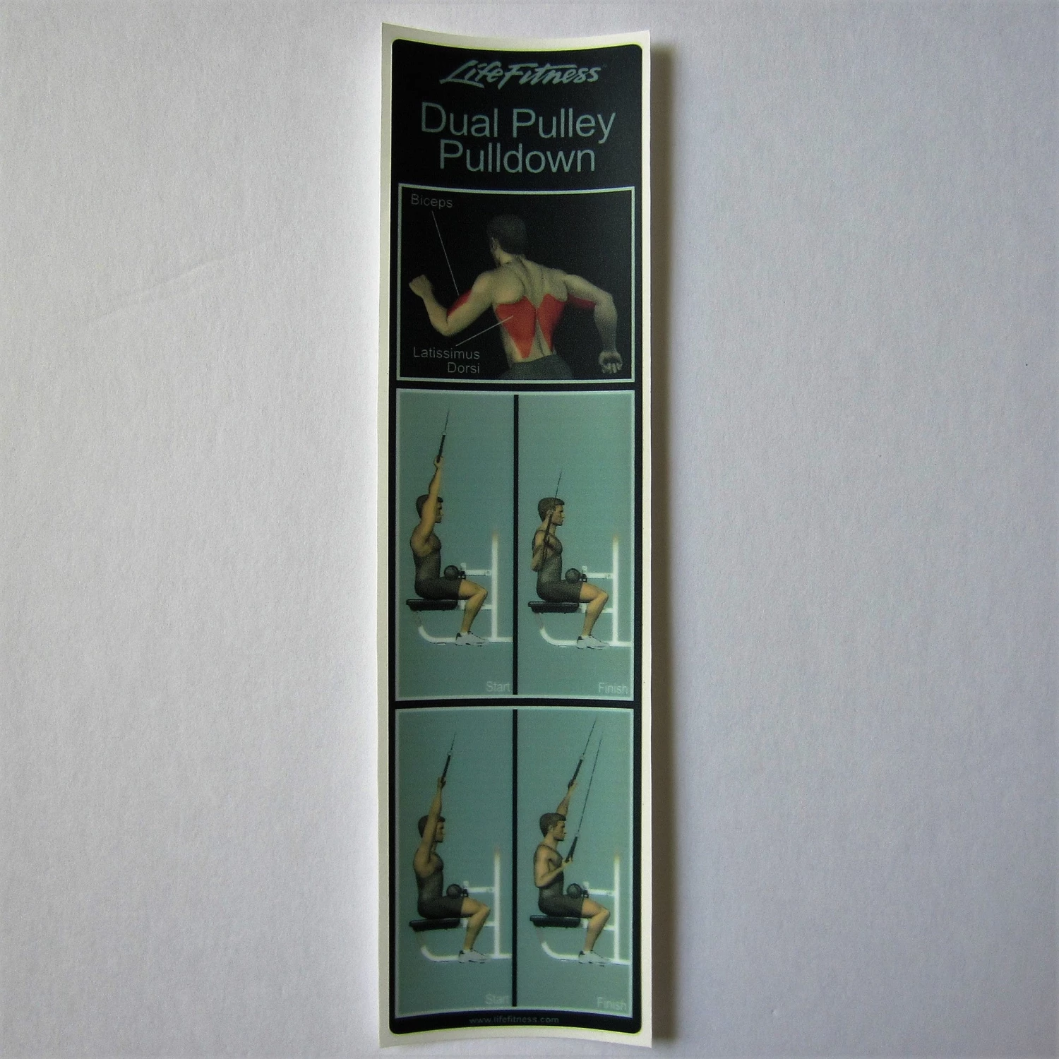 Sign Concepts MJ8 Dual Pulley Pulldown 1 Sign Concepts MJ8 Dual Pulley Pulldown