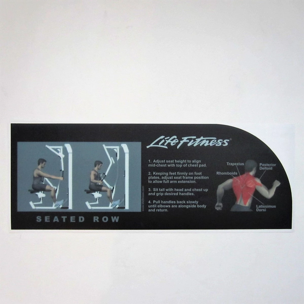 Sign Concepts Pro 2 Seated Row 1 Sign Concepts Pro 2 Seated Row