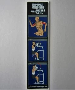 Sign Concepts MTS Biceps Curl
