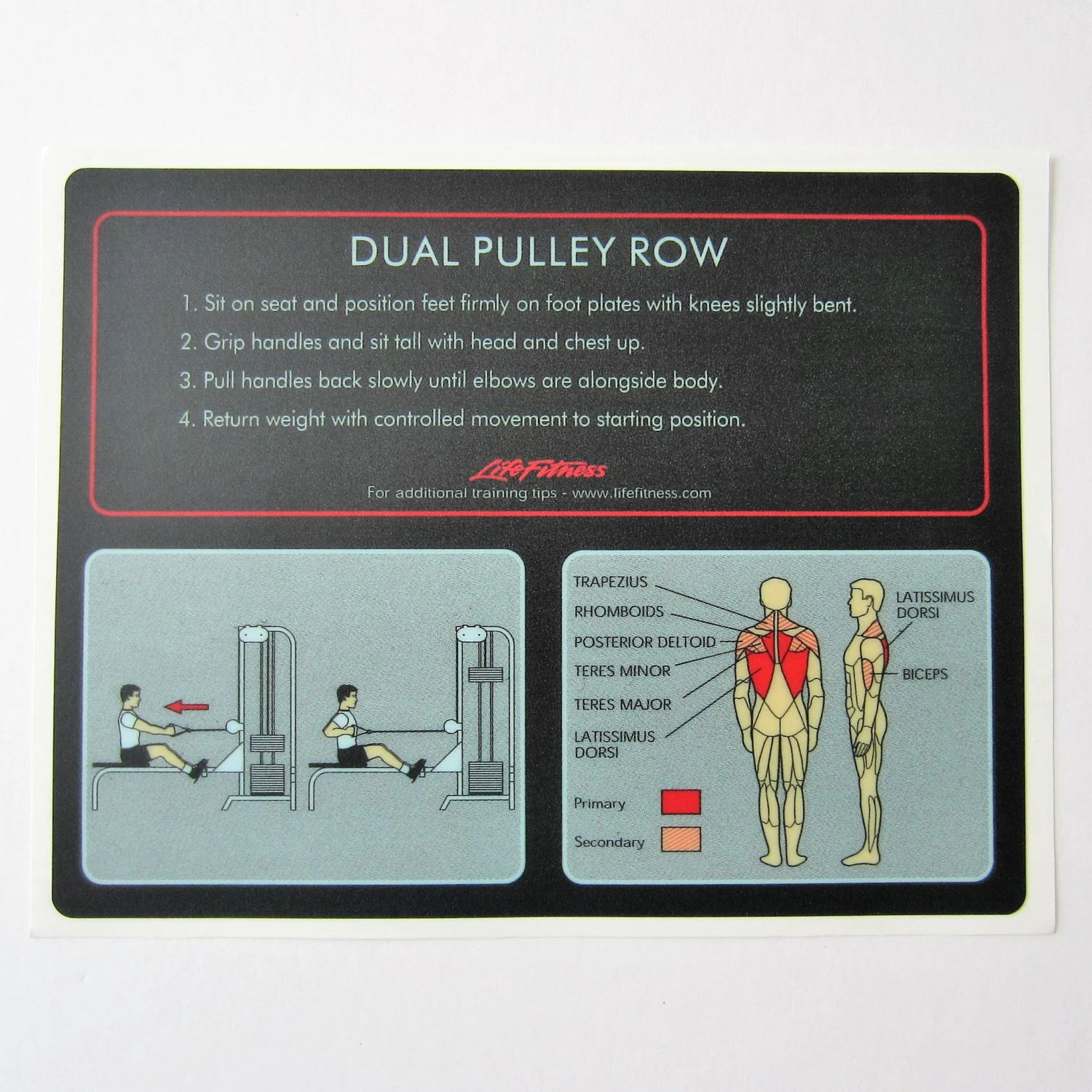 Sign Concepts Pro 1 Dual Pulley Row 1 Sign Concepts Pro 1 Dual Pulley Row