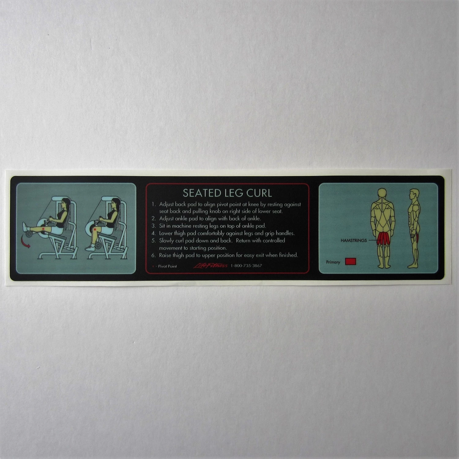 Sign Concepts Pro 1 Seated Leg Curl 1 Sign Concepts Pro 1 Seated Leg Curl